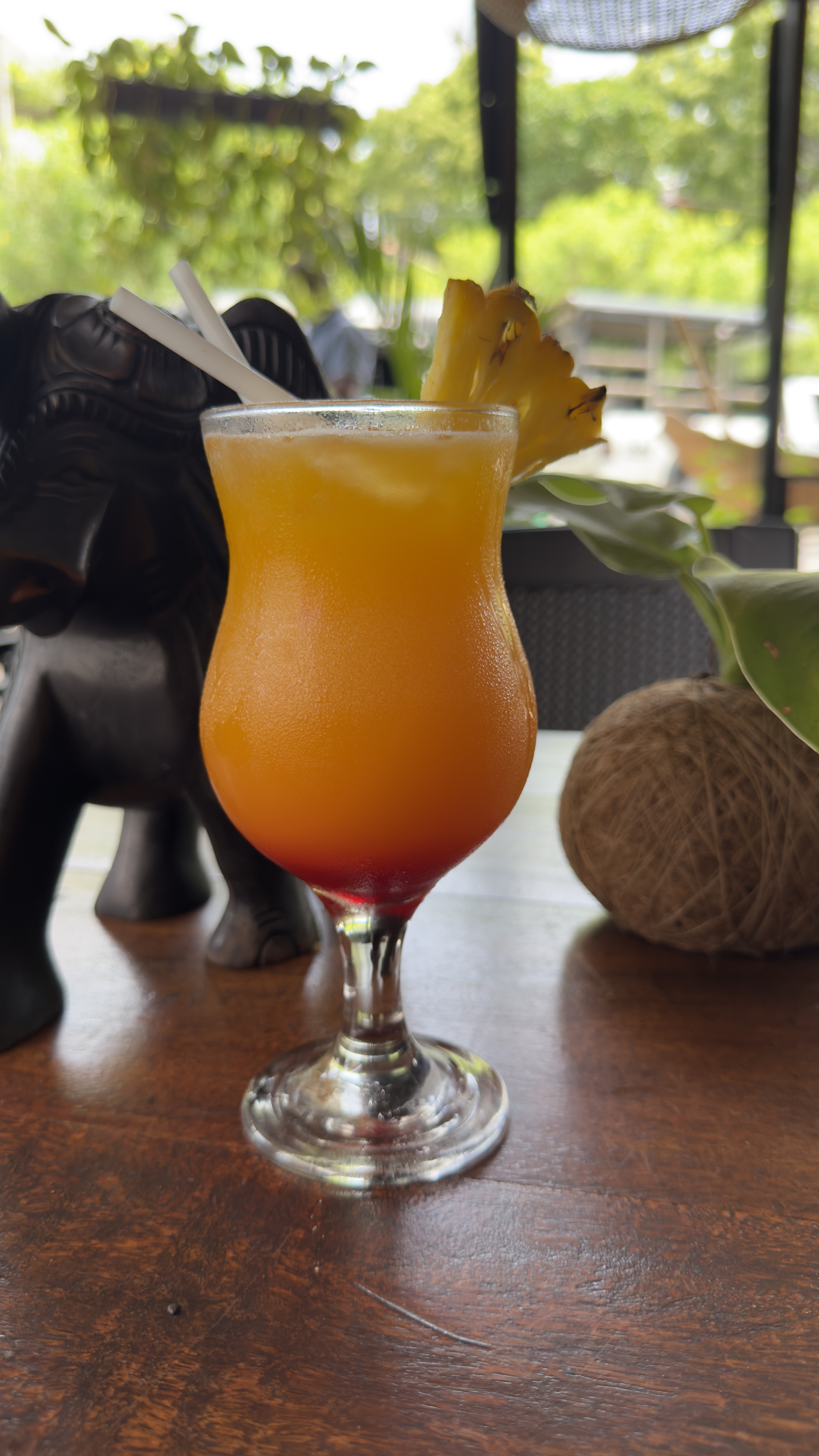 Tropical cocktail at the bar